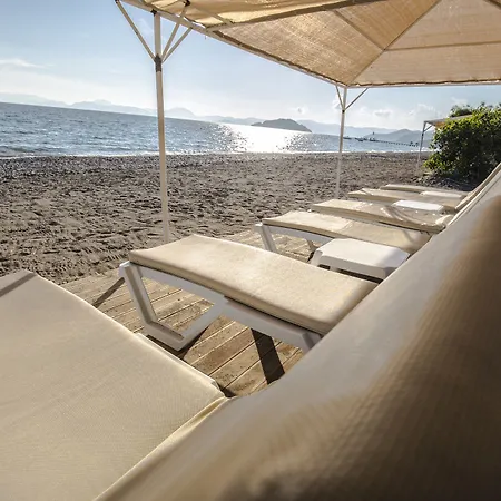 Katranci Park 3* 페티예