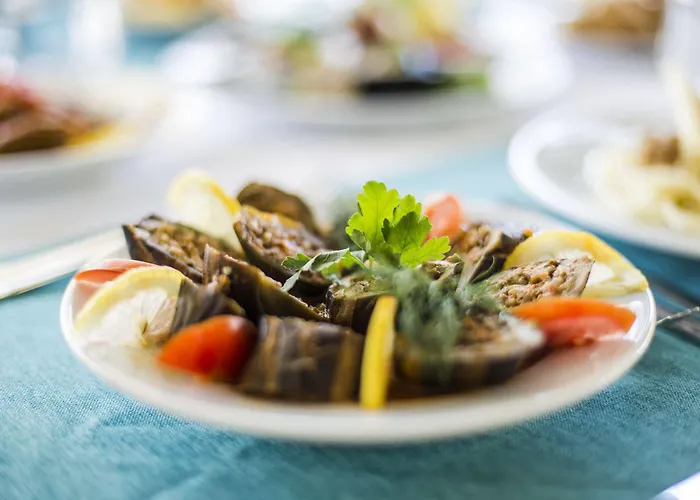 Otel Katranci Park Fethiye