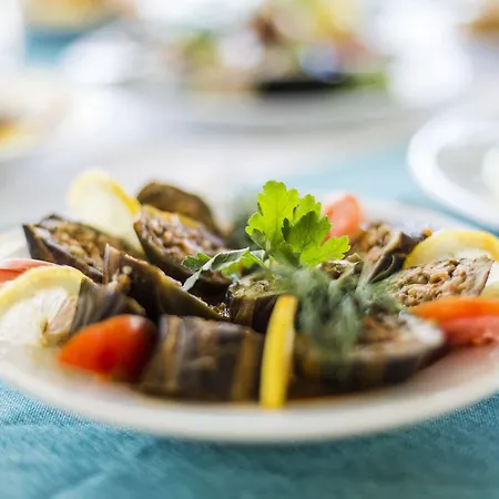 فندق Katranci Park فتحية